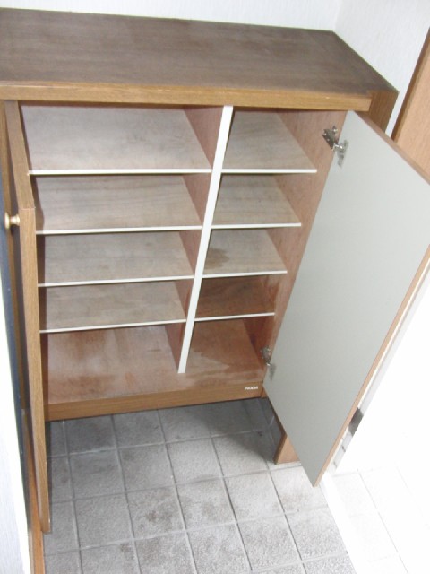 Other room space. There is also a shoe box to the top!