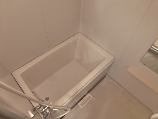 Bath. Spacious bathroom