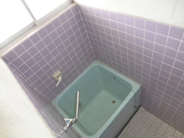 Bath. Old-fashioned bath