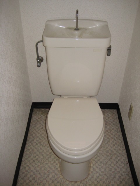 Toilet. It is a flush toilet