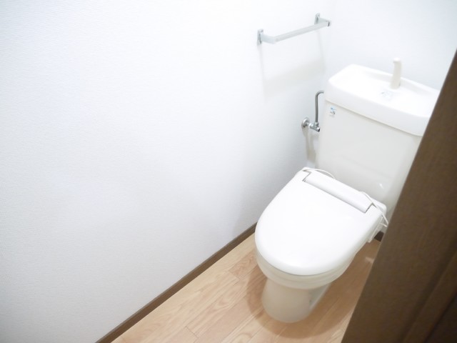 Toilet. It is a flush toilet