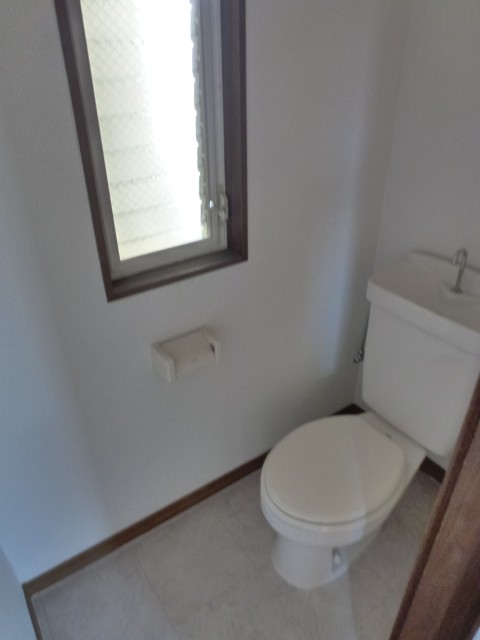 Toilet. It is a flush toilet