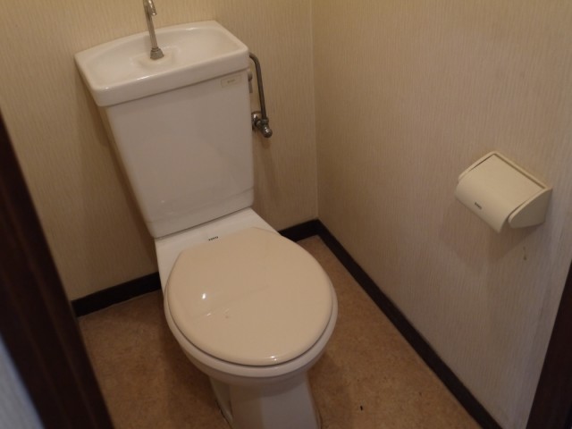 Toilet. It is a flush toilet