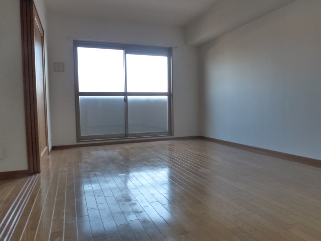 Living and room. Sunny living room