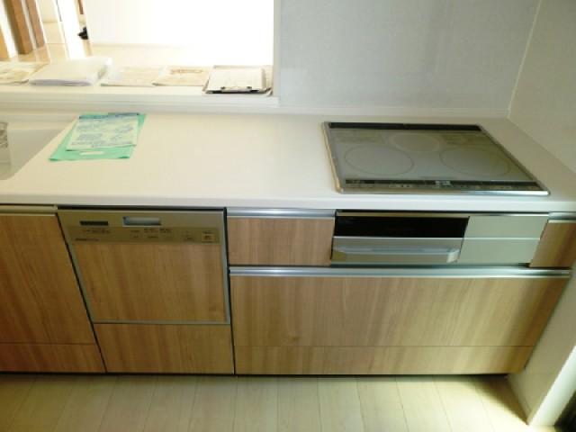 Other introspection. The same type