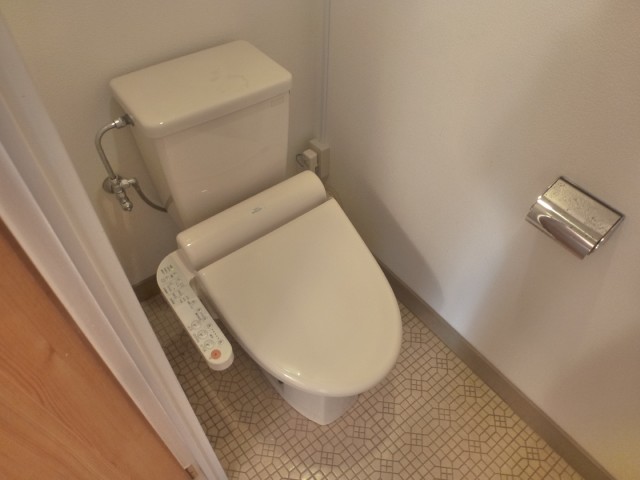 Toilet. It is a flush toilet. 