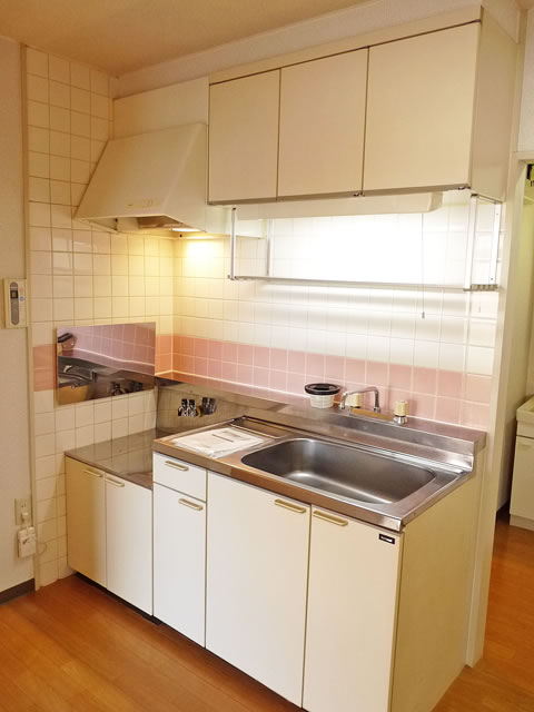 Kitchen. Kitchen (gas stove bring)