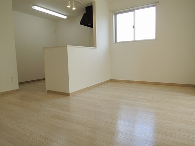 Living and room. Popular counter kitchen. 