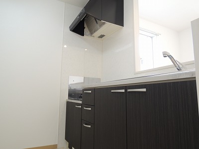 Kitchen. Stylish kitchen