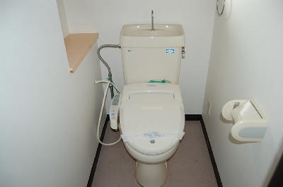 Toilet. Toilet is clean with white keynote (Photo is isomorphic room)