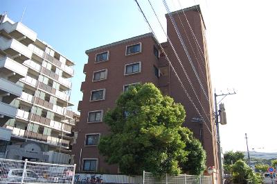 Building appearance. appearance