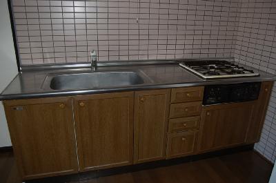 Kitchen. Popular system Kitchen (photo is isomorphic room)
