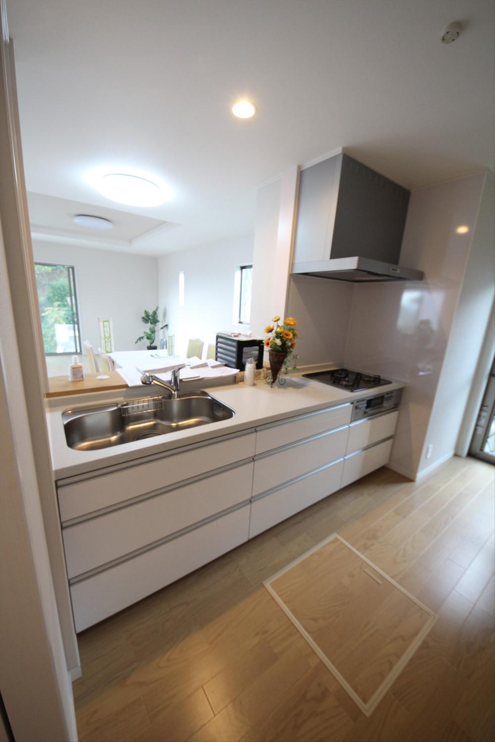 Kitchen. Local (11 May 2013) Shooting