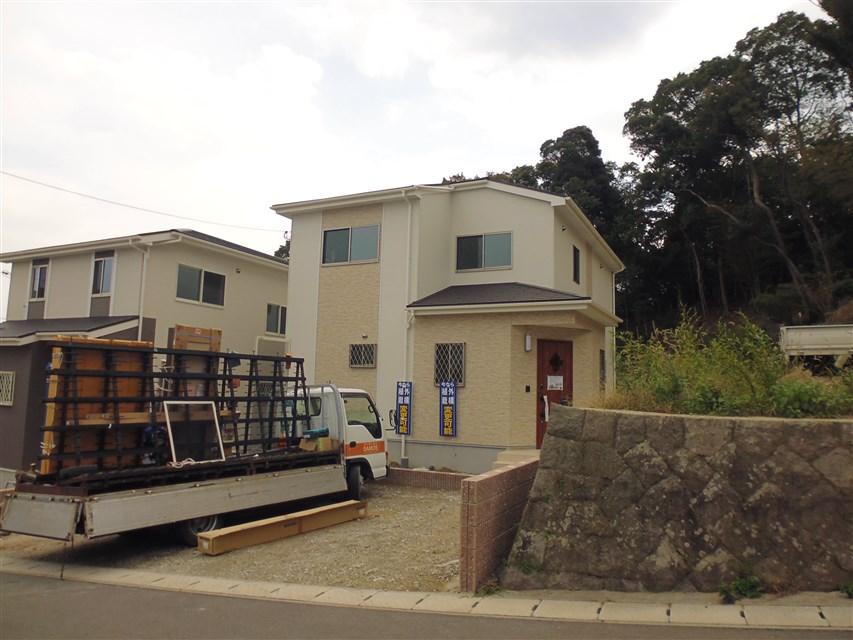 Local appearance photo. Local photo (2013 November 16, 2008)