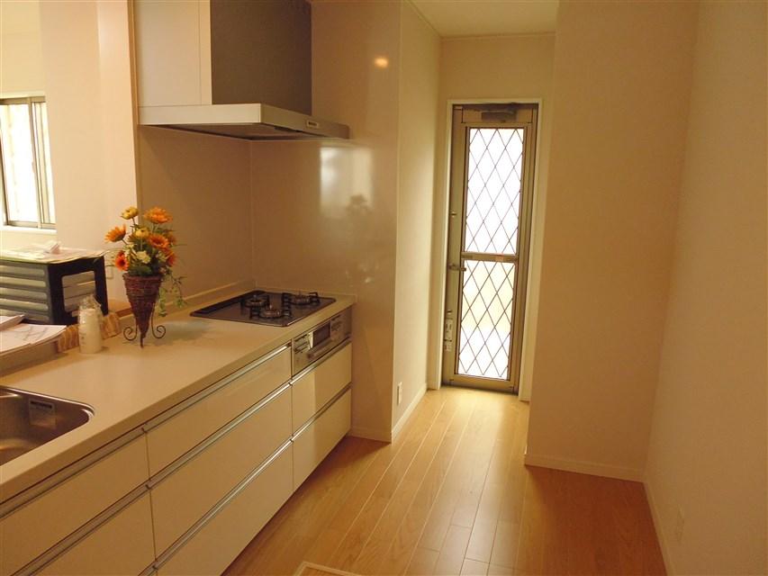 Kitchen. Kitchen there is a back door