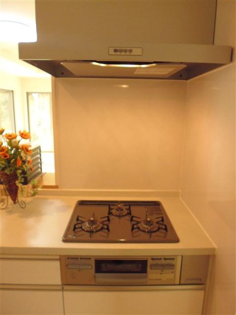 Kitchen. Three-necked gas stove