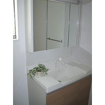 Wash basin, toilet. Easy-to-use shampoo dresser!