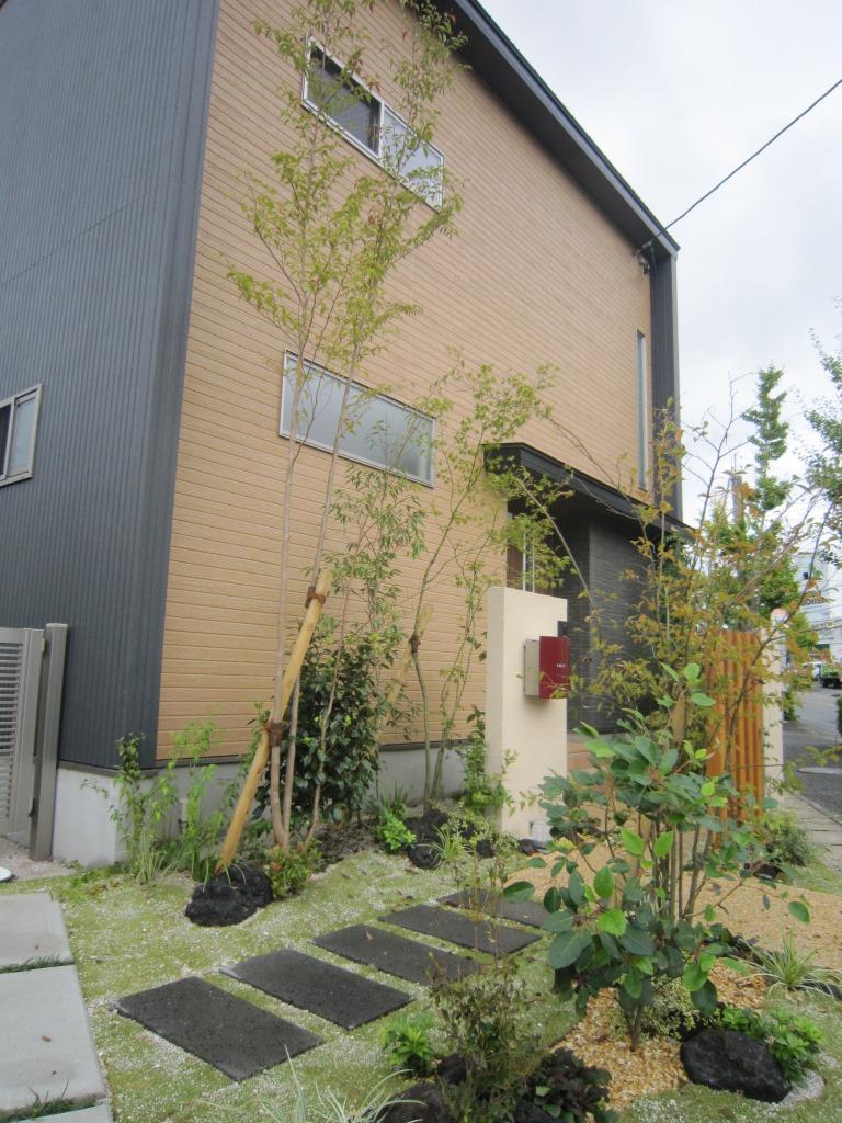 Garden. Indoor (September 2013) Shooting