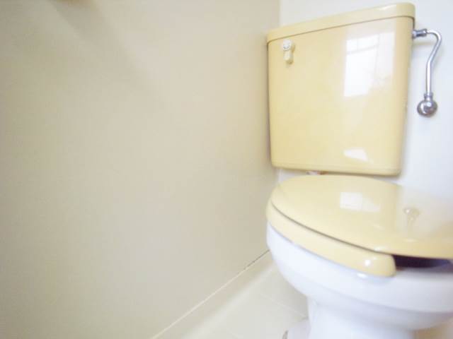 Toilet. Toilet is also a Western-style