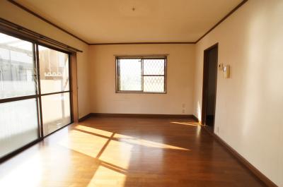 Living and room. Living