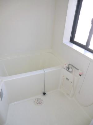 Bath. Bright bathroom