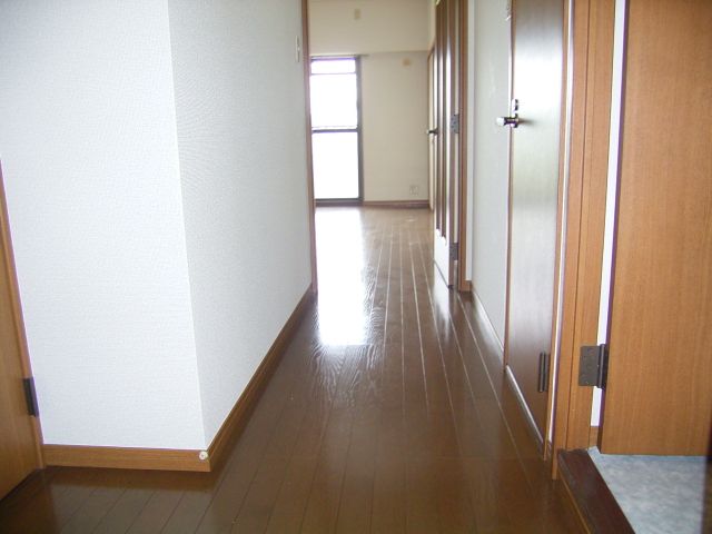 Entrance. Is the view from the front door!