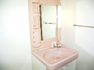 Washroom. It comes with shampoo dresser!