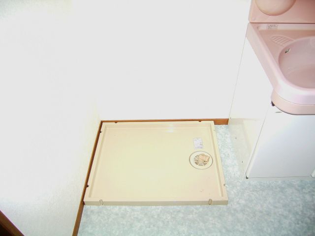 Washroom. It is indoor washing machine Storage!