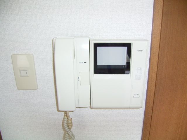 Security. It comes with TV monitor phone.