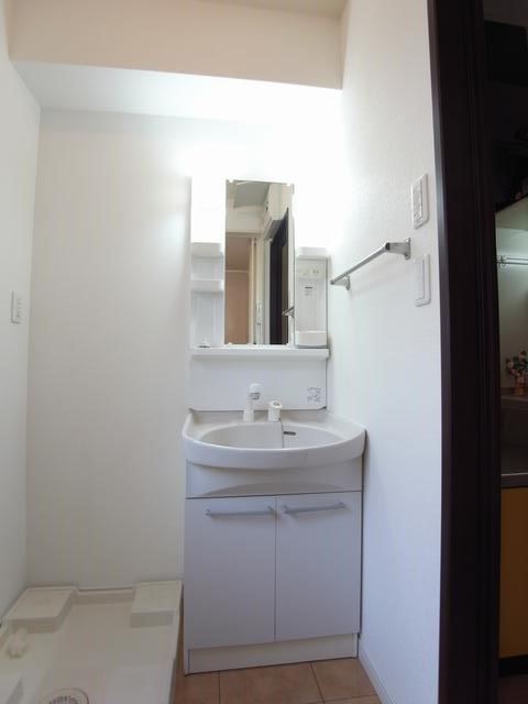 Washroom. Bathroom Vanity