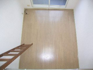 Living and room. From loft