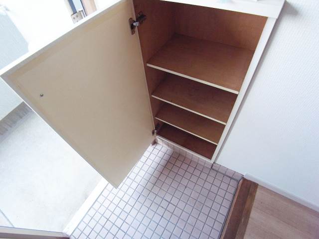 Receipt. Also equipped with many shoes BOX it not for the Single