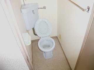 Toilet. Toilet