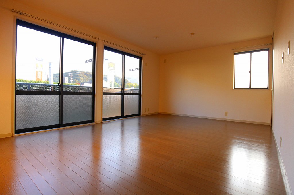 Living and room. Living two-sided lighting