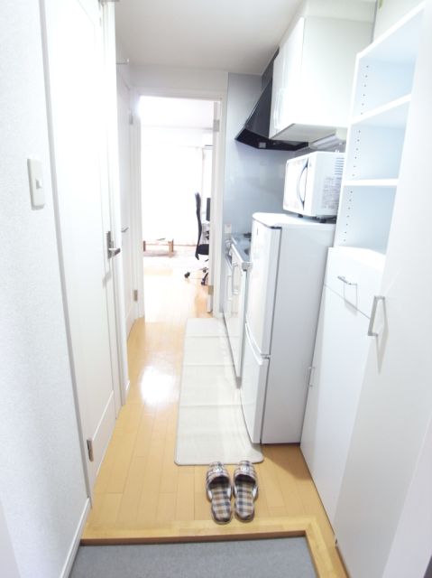 Entrance. Entrance (Model Room)