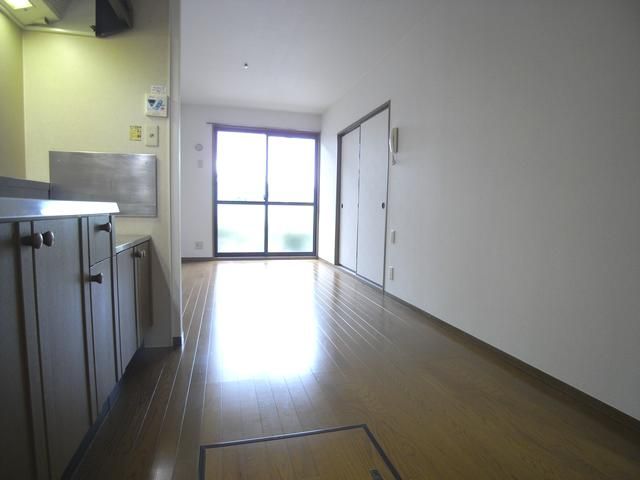 Living and room. Bright living.