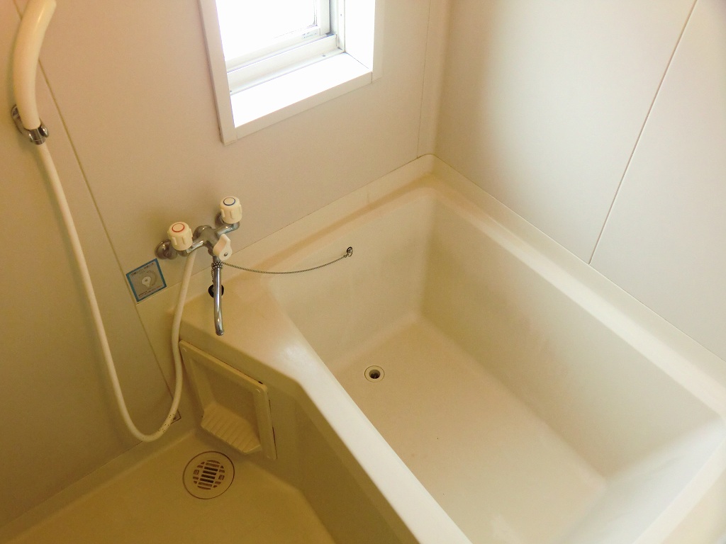 Bath. There bathroom window