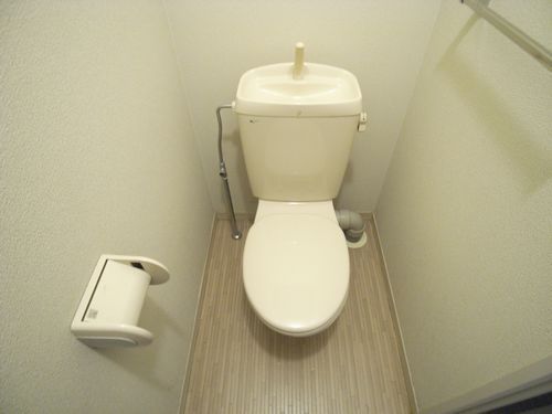 Toilet. Toilet
