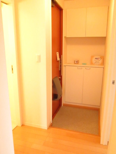 Entrance. Situation in the foyer