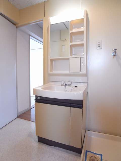 Washroom. Bathroom vanity