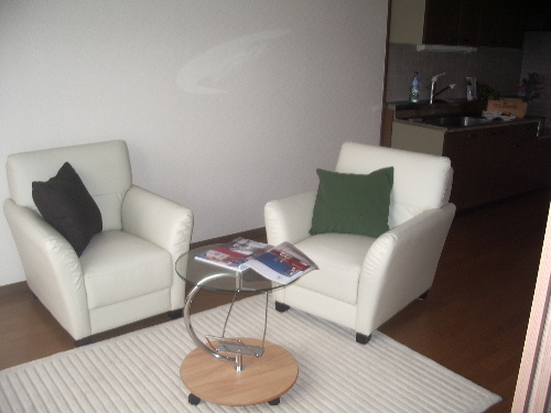 Washroom. Since it is a wall-to-wall storage, It recommends people a lot of luggage