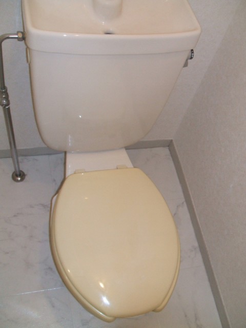 Toilet. Toilet space