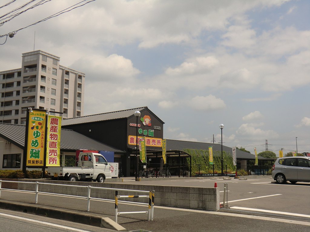 Other. Dream 400m until the field (Other)