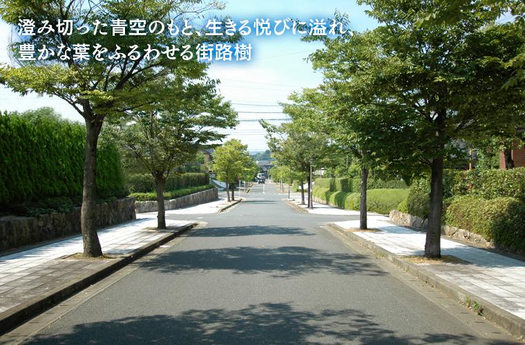 Other local. A little away from the busy everyday, Spend while feeling the four seasons in a gracefully flowing time. Please find please the style of individuality life.