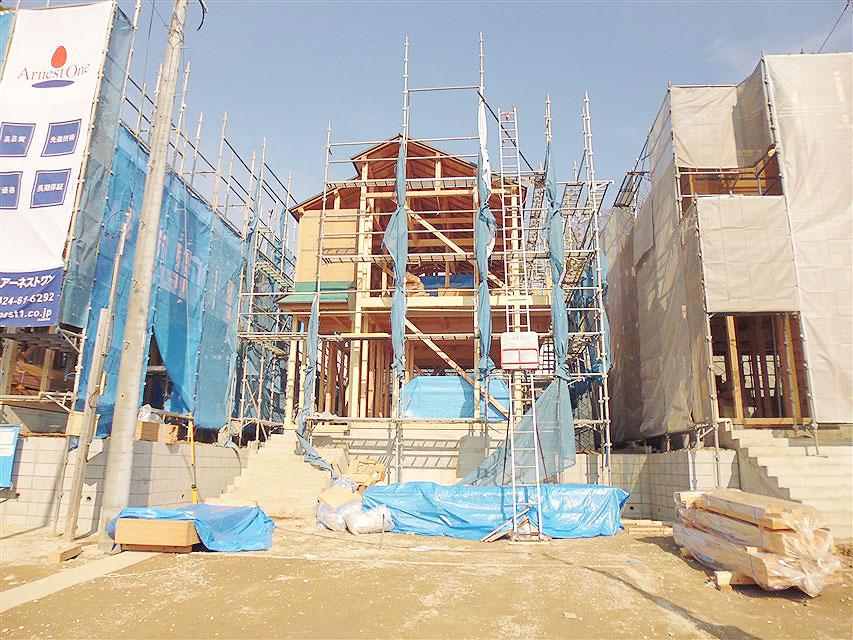 Local appearance photo. Local photo (2013 November 24, 2008)