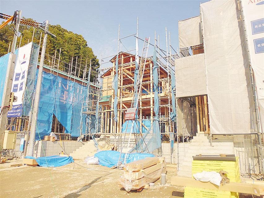 Local appearance photo. Local photo (2013 November 24, 2008)