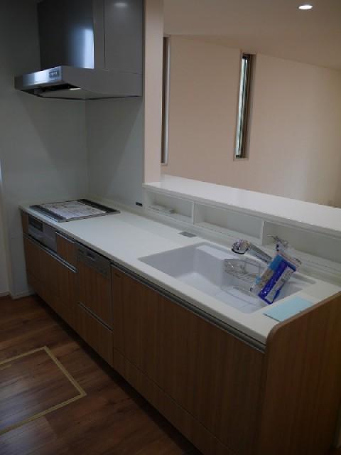 Kitchen. Dishwasher, Water purification function with faucet