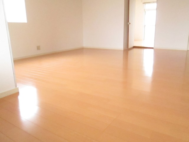 Other room space. Another angle of living