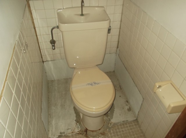 Toilet