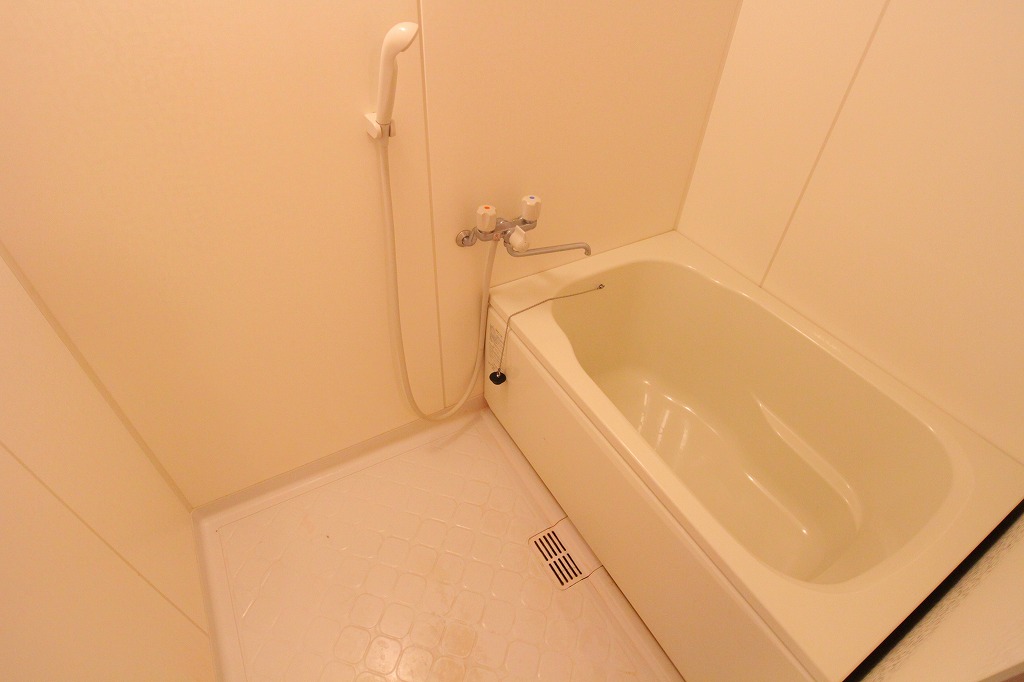 Bath. Bathroom photo